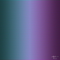 Strata 49a 1x1